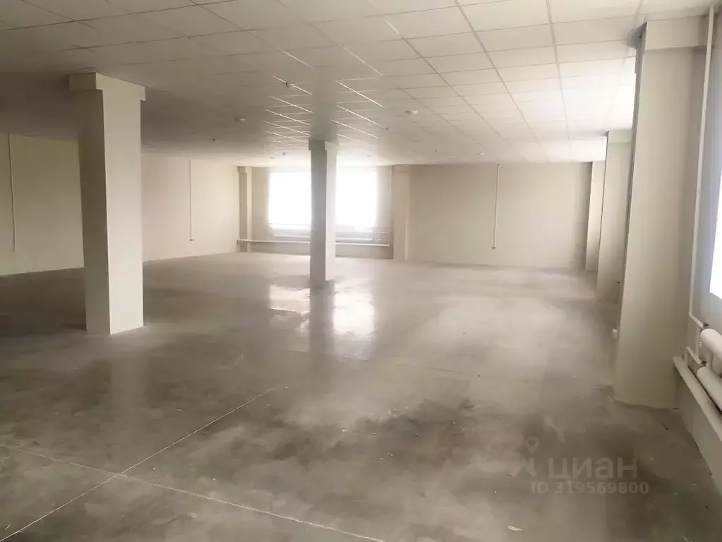 Помещение свободного назначения в Новосибирская область, Новосибирск ... - Фото 2