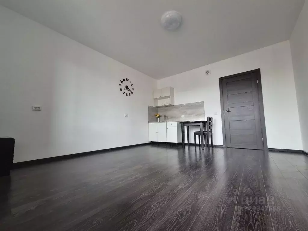 Студия Санкт-Петербург просп. Ветеранов, 183 (24.0 м) - Фото 2