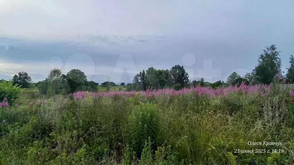 Участок 12 сот. (СНТ, ДНП) - Фото 1