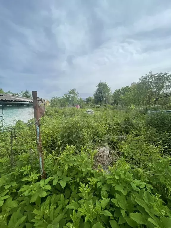 Участок 6,5 сот. (СНТ, ДНП) - Фото 0