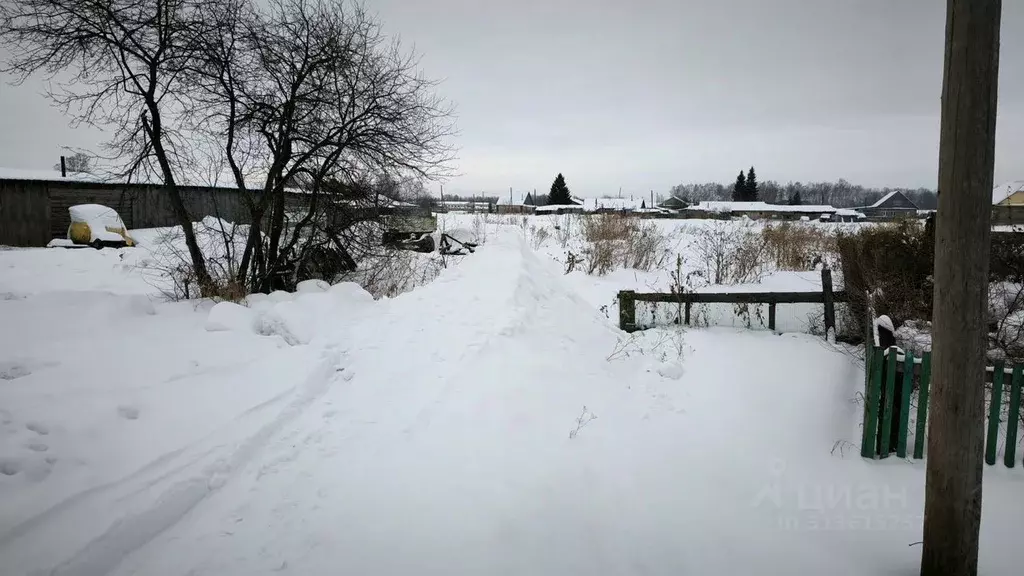 Участок в Омская область, Тарский район, с. Чекрушево Зеленая ул. ... - Фото 0