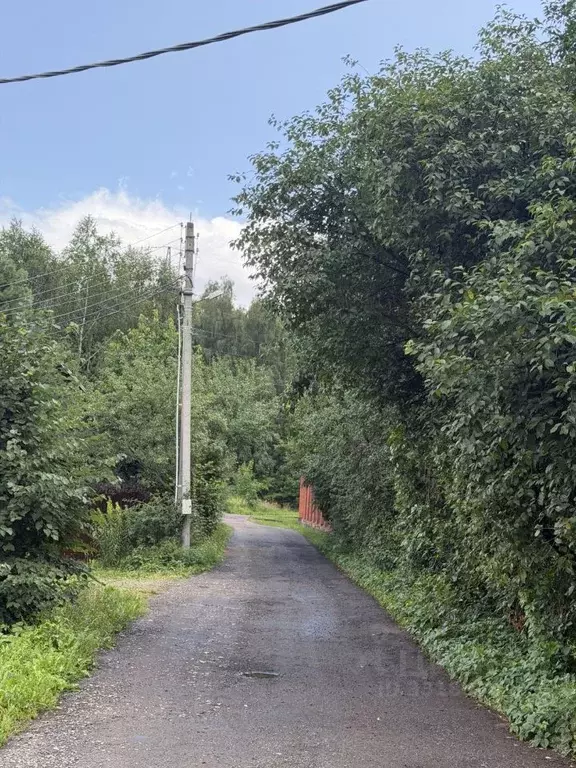 Участок в Московская область, Ленинский городской округ, д. Дыдылдино  ... - Фото 2
