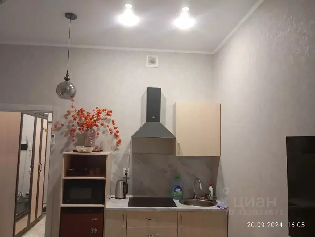 1-к кв. Татарстан, Набережные Челны ул. Авангардная, 51А (30.0 м) - Фото 0