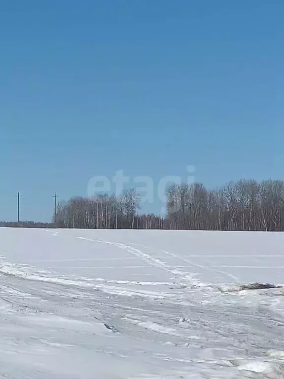 Дом в Брянская область, Выгоничский район, Кокинское с/пос, с. ... - Фото 1