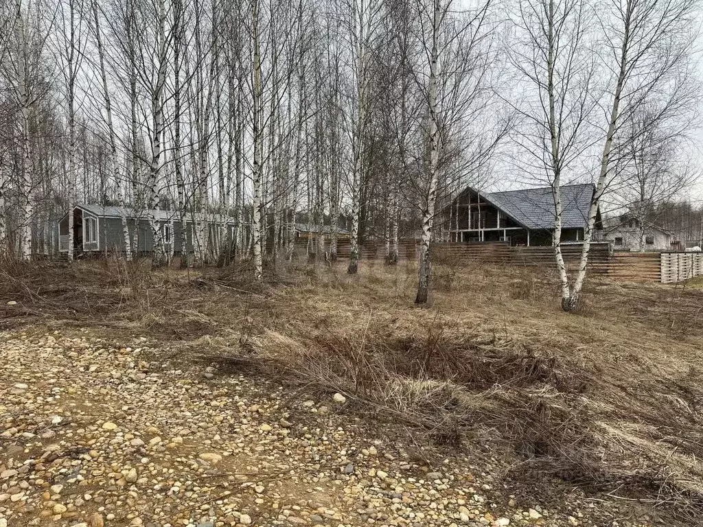 Участок в Московская область, Дмитровский городской округ, ... - Фото 1