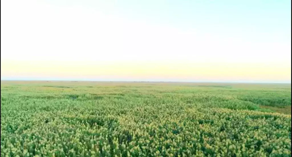 Участок в село Алексеевка, Набережная улица (8.38 м) - Фото 0