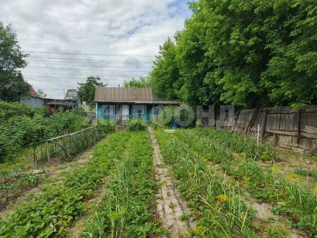 Дом в Новосибирская область, Новосибирск 3-й Чукотский пер. (30 м) - Фото 0