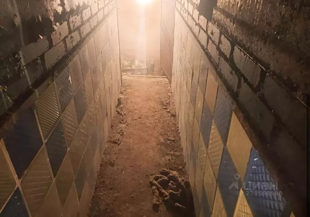 Гараж в Ростовская область, Ростов-на-Дону пос. Орджоникидзе, ул. ... - Фото 2