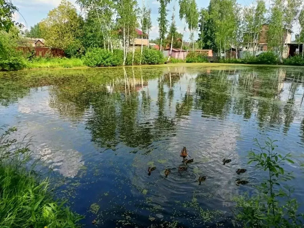 Дом в Свердловская область, Екатеринбург Мечта СТ, 57 (96 м) - Фото 0