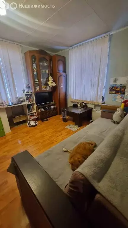 1-комнатная квартира: Пушкин, Ахматовская улица, 15 (31.2 м) - Фото 1