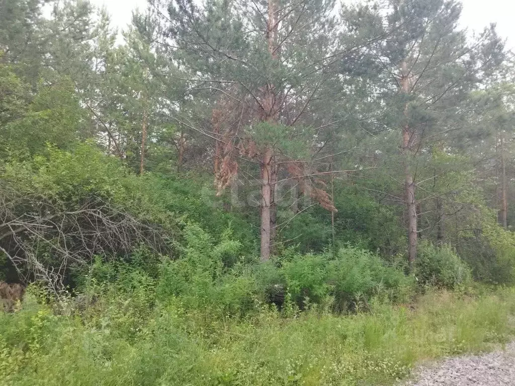 Участок в Свердловская область, Талица пл. Молодежная (12.0 сот.) - Фото 1