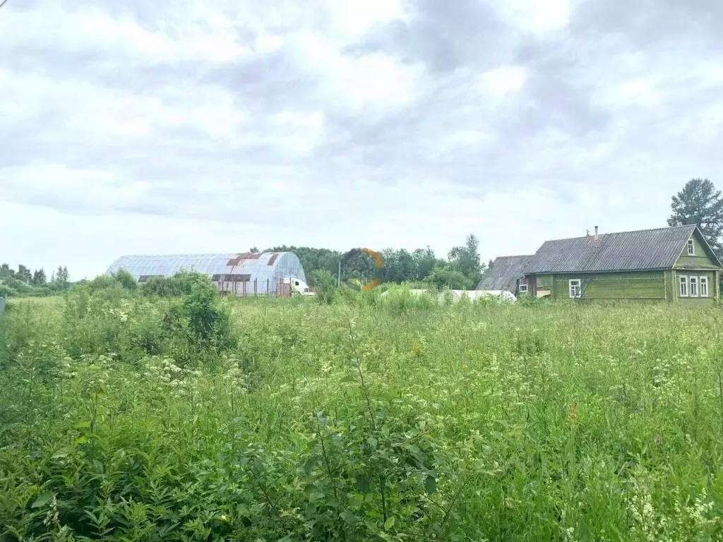 Участок в Новгородская область, Чудово Грузинское ш., 20 (16.0 сот.) - Фото 1