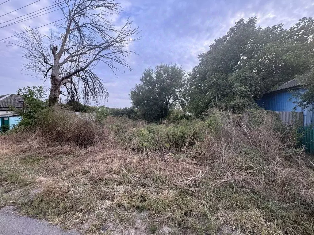 Участок в Белгородская область, Валуйки ул. Крюкова (16.0 сот.) - Фото 2