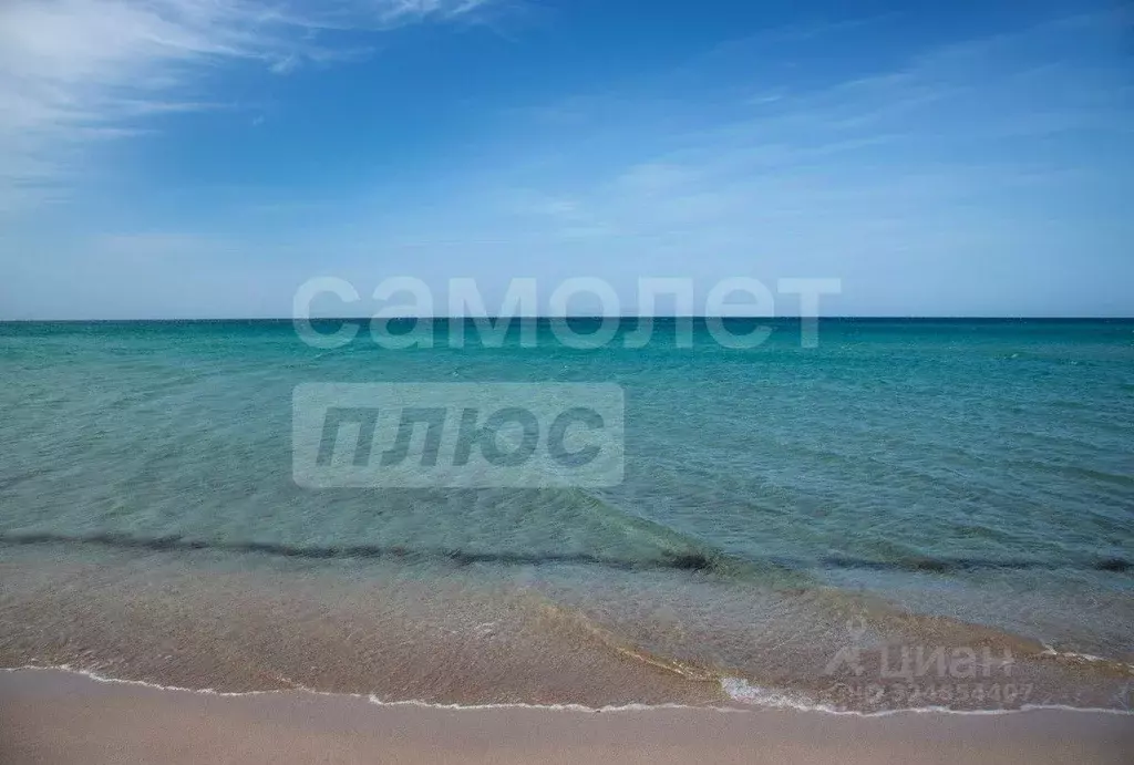 Участок в Крым, Сакский район, с. Штормовое  (43.0 сот.) - Фото 1