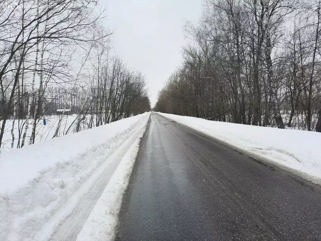 Участок в Московская область, Раменский муниципальный округ, село ... - Фото 1