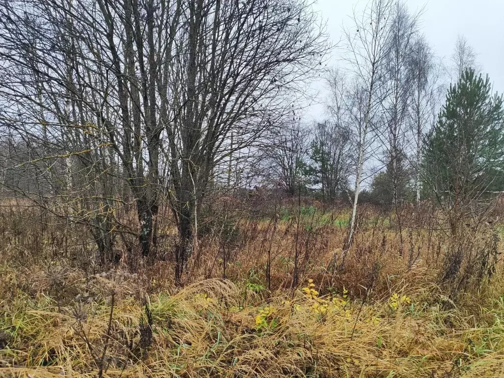 Участок в Московская область, Раменский муниципальный округ, с. ... - Фото 1