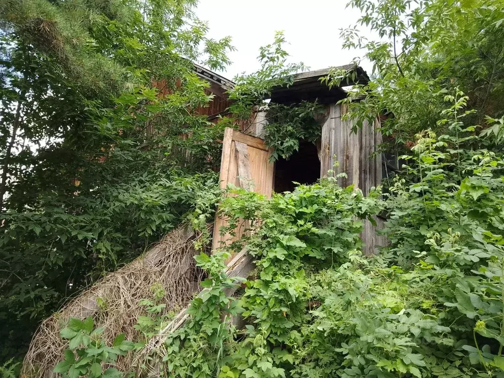 Свободной планировки кв. Новосибирская область, Ордынский район, с. ... - Фото 1