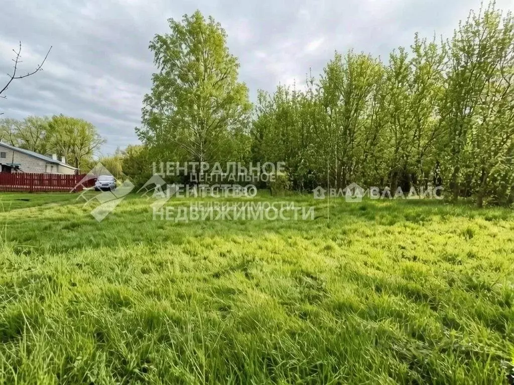 Участок в Рязанская область, Касимовский муниципальный округ, ... - Фото 1
