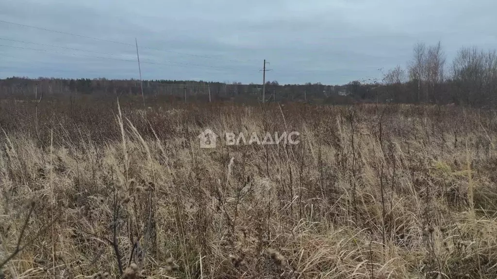 Участок в Владимирская область, Судогодский район, Лавровское ... - Фото 1