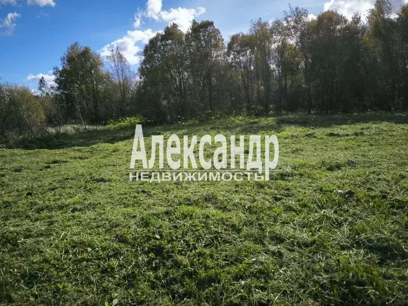 Участок в Ленинградская область, Волосовский район, д. Бегуницы  (30.0 ... - Фото 2