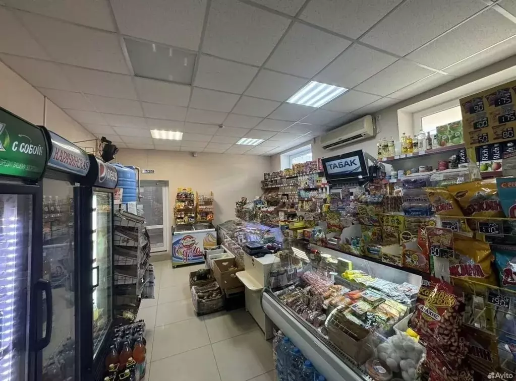 Помещение свободного назначения в Севастополь ул. Тараса Шевченко, 28 ... - Фото 1