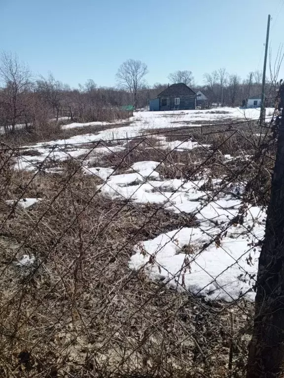 Участок в Алтайский край, Алтайский район, с. Алтайское ул. ... - Фото 0