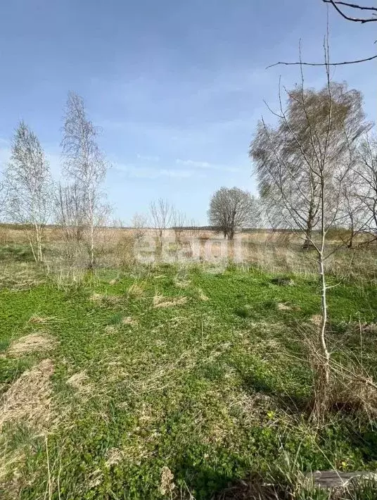 Участок 10 сот. (личное подсобное хозяйство (лпх)) - Фото 1