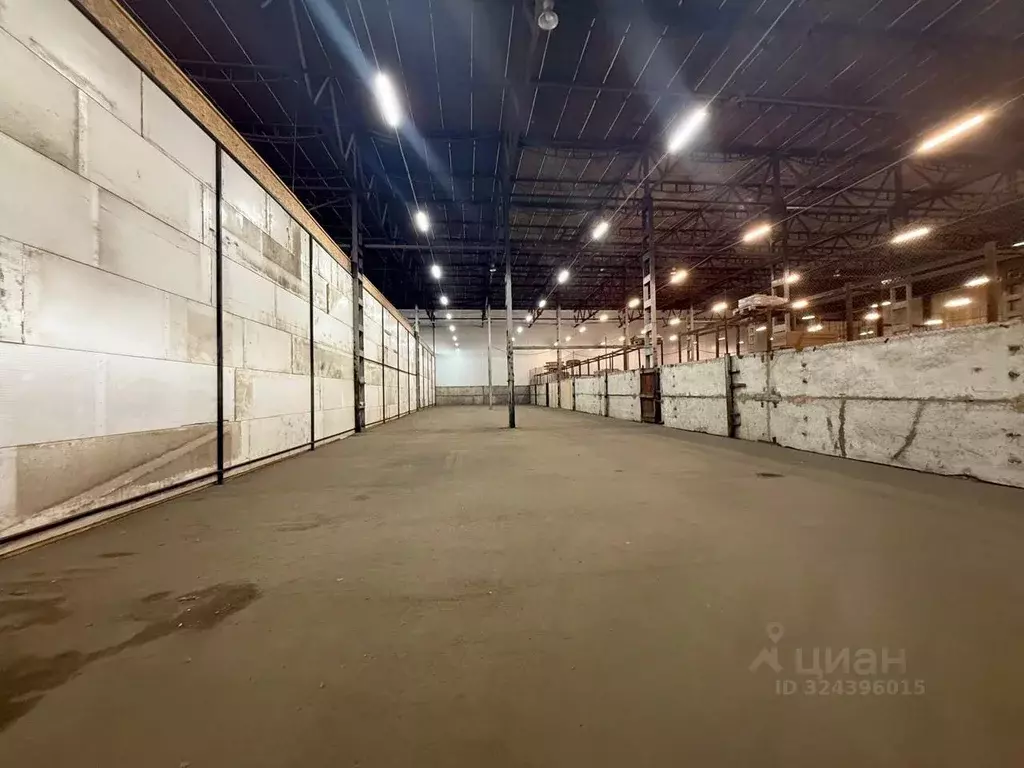 Склад в Татарстан, Казань Тэцевская ул., 201к1 (1350 м) - Фото 2