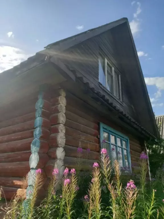 Дом в Новгородская область, Валдайский район, Яжелбицкое с/пос, ... - Фото 0