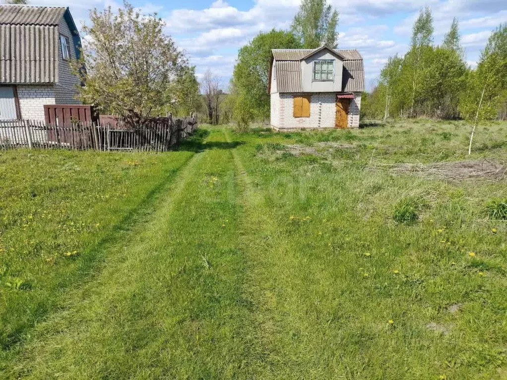 Участок в Брянская область, Брянский район, Добрунское с/пос, Добрунь ... - Фото 2
