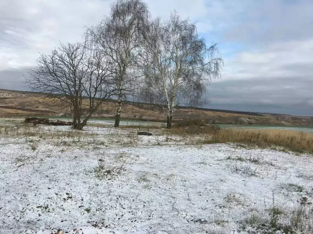 Участок в Нижегородская область, Нижний Новгород с. Варварское, ул. ... - Фото 1