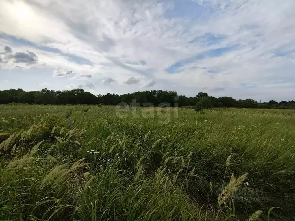 Участок в Хабаровский край, Хабаровский район, Тополевское с/пос, с. ... - Фото 2