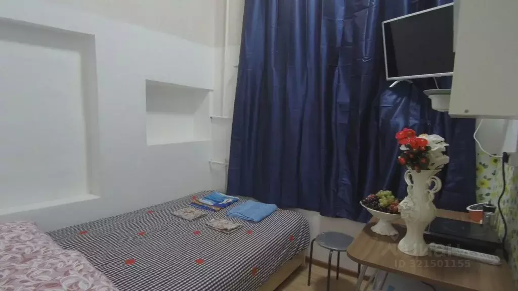 Студия Московская область, Электроугли Богородский городской округ, ... - Фото 2