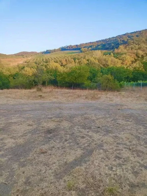 Участок в Севастополь с. Родное, ул. Сахалина, 13 (17.3 сот.) - Фото 0
