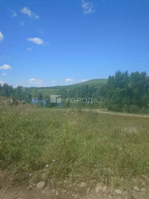 Участок в Алтайский край, Алтайский район, Айский сельсовет, с. Ая ул. ... - Фото 1