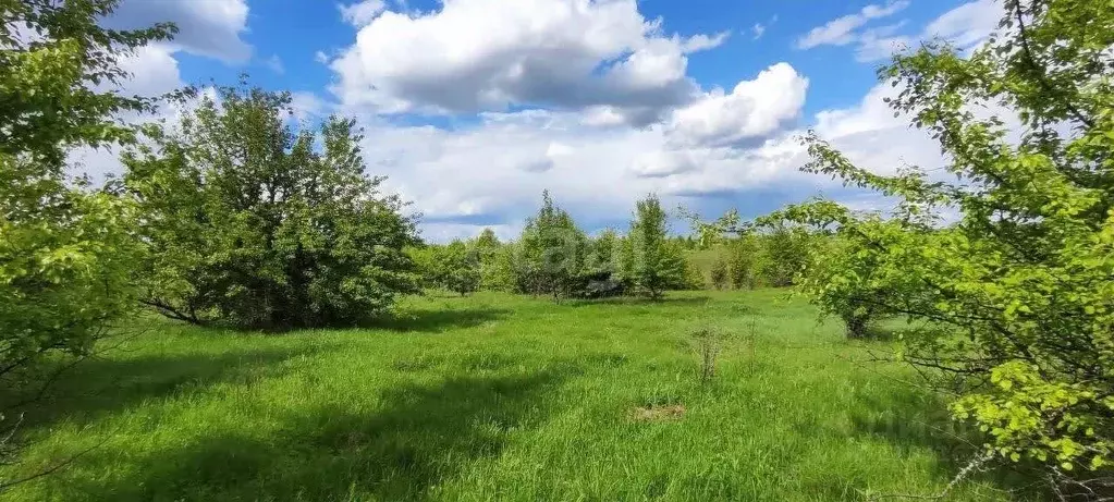 Участок в Воронежская область, Рамонский район, с. Русская Гвоздевка  ... - Фото 1