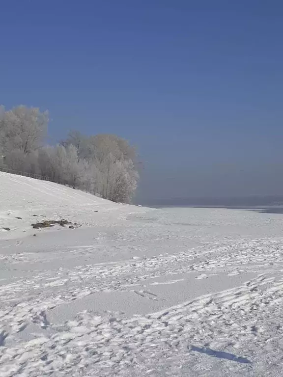 Участок в Алтайский край, Советский район, с. Урожайное Комсомольская ... - Фото 0