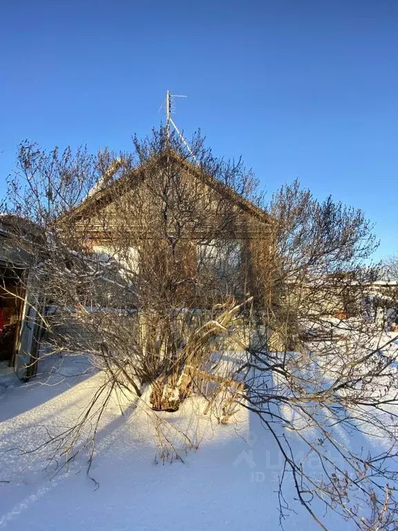 Дом в Саратовская область, д. Трещиха ул. Нагорная, 8 (55 м) - Фото 2