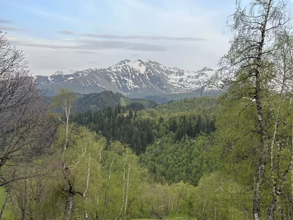 Участок в Карачаево-черкесия, Зеленчукский район, с. Нижняя Ермоловка . - Фото 0