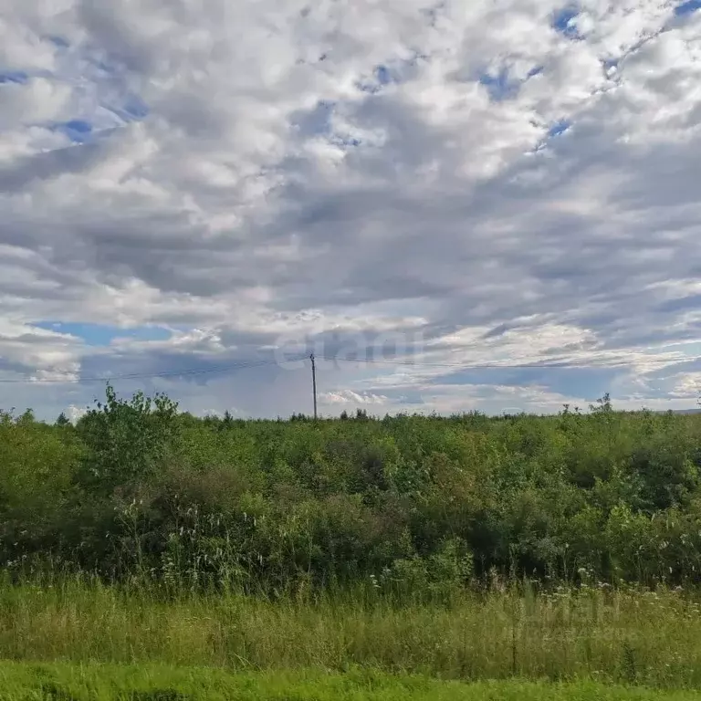 Участок в Амурская область, Благовещенский район, Станичное тер.  (8.6 ... - Фото 0