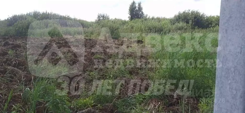 Участок в Тюменская область, Тюмень ул. Чайная (8.05 сот.) - Фото 2