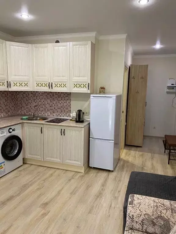 Студия Краснодарский край, Туапсинский муниципальный округ, с. ... - Фото 2