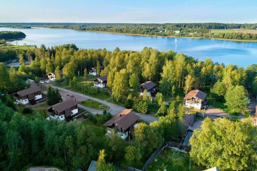 Комната Ленинградская область, Выборгский район, Приморское городское ... - Фото 0