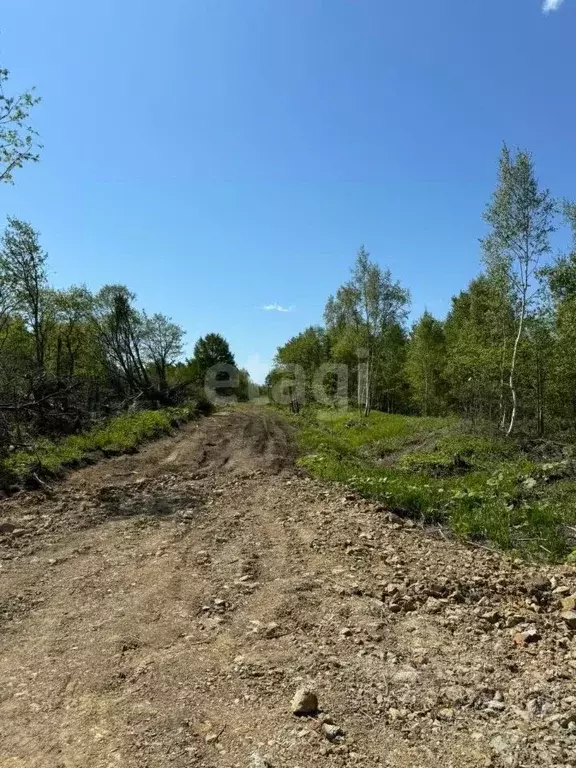 Участок в Сахалинская область, Анивский городской округ, с. Троицкое  ... - Фото 1