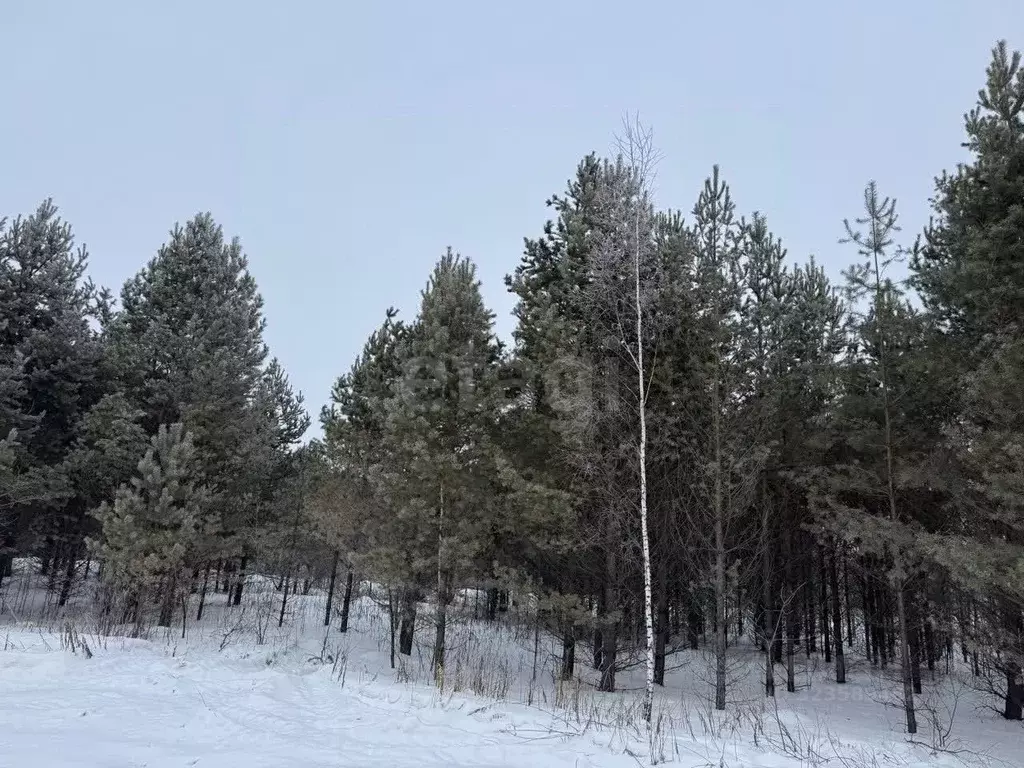 Участок в Тюменская область, Тюменский муниципальный округ, д. ... - Фото 1