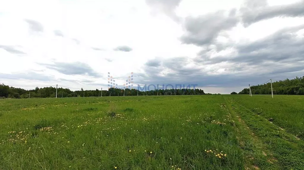 Участок в Нижегородская область, Дальнеконстантиновский муниципальный ... - Фото 1