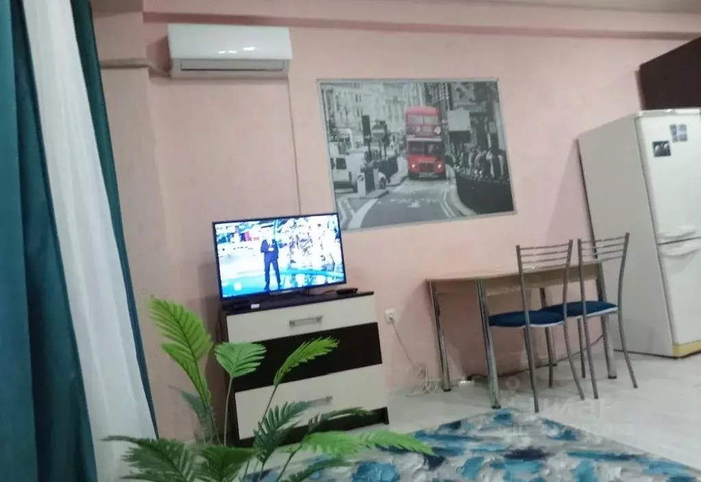 Студия Краснодарский край, Сочи Светлана мкр, ул. Лысая Гора, 27/9 ... - Фото 1