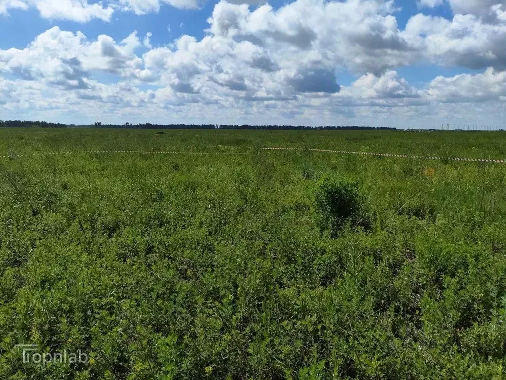 Участок в Тамбовская область, Тамбовский муниципальный округ, с. ... - Фото 1