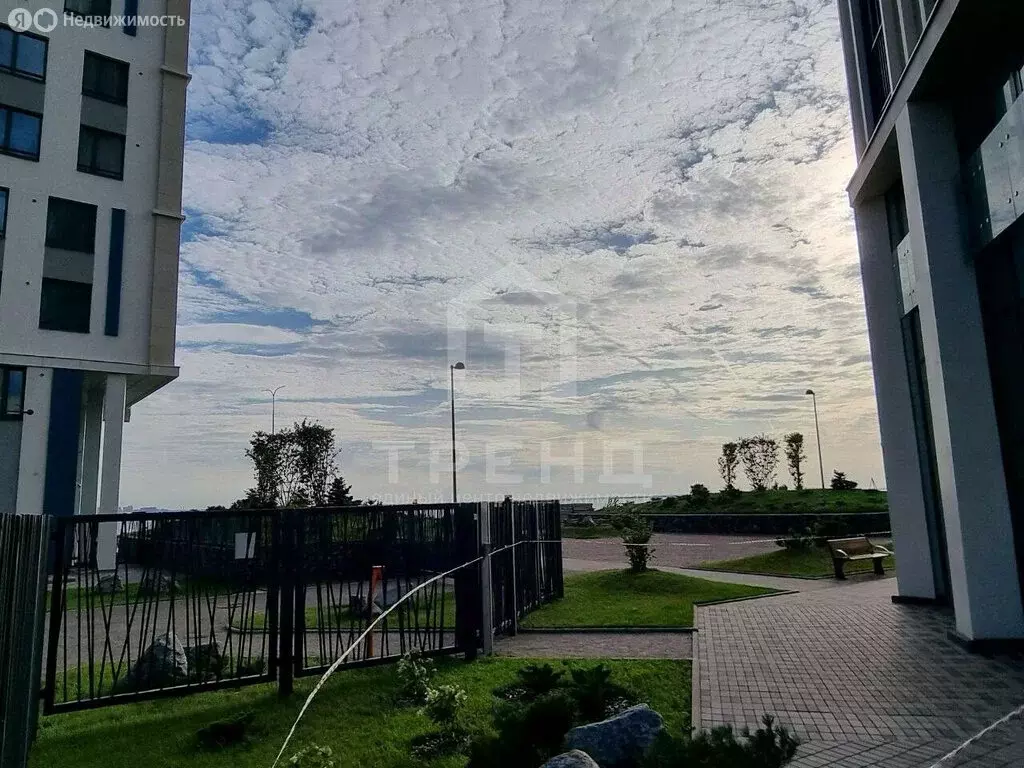 Помещение свободного назначения (80.6 м) - Фото 1