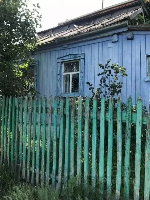 Дом в Воронежская область, Верхнехавский район, с. Углянец  (43 м) - Фото 1